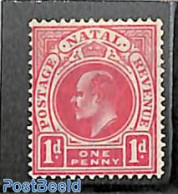 Natal 1902 1d, WM Crown-CA, Stamp Out Of Set, Unused (hinged) - Natal (1857-1909)