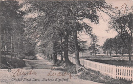 Hertfordshire  - Bishop’s Stortford Cricket Field Lane - 1907 - Herefordshire