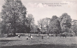 CARSHALTON - St Philomena's School - View In The Fields - Other & Unclassified