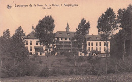 Buizingen - Buyzingen - Sanatorium Rose De La Reine - Sanatorium Roos Der Koningin - Coté Sud - Halle