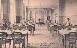 Buizingen - Buyzingen - Sanatorium Rose De La Reine - Sanatorium Roos Der Koningin - Salle A Manger - Halle