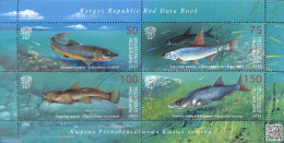 Kyrgyzstan 2021 Red Book, Fish 4v M/s, Mint NH, Nature - Fish - Fische