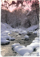 Postcard France Winter Creek Pecci - Sonstige & Ohne Zuordnung