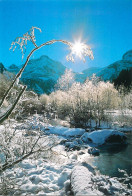 Postcard France Le Mont Blanc Cristal Winter Creek - Sonstige & Ohne Zuordnung