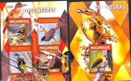 Mozambique 2016 Birds 2 S/s, Mint NH, Nature - Birds - Mozambique