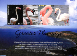 Nevis 2021 Greater Flamingo 4v M/s, Mint NH, Nature - Birds - St.Kitts-et-Nevis ( 1983-...)