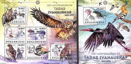 Mozambique 2012 Tadas Ivanauskas 2 S/s, Mint NH, Nature - Birds - Birds Of Prey - Owls - Mozambique