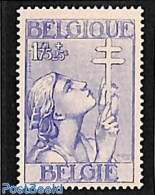 Belgium 1933 1.75, Stamp Out Of Set, Unused (hinged), Health - Anti Tuberculosis - Ongebruikt