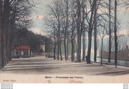 Z5-77) MELUN - PROMENADE DES TILLEULS  - ( 2 SCANS ) - Melun