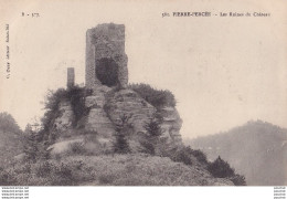 Z4-88) PIERRE PERCEE - LES RUINES DU CHATEAU  - ( 2 SCANS ) - Sonstige & Ohne Zuordnung