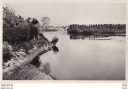 Z26-47) MARMANDE - LES BORDS DE LA GARONNE - ( 2 SCANS ) - Marmande