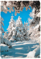 Postcard France Winter Landscape Pecci - Other & Unclassified