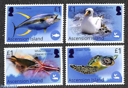 Ascension 2021 Blue Belt Programme 4v, Mint NH, Nature - Birds - Fish - Turtles - Poissons