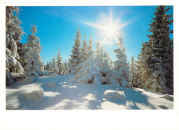 Postcard France Winter Landscape - Other & Unclassified