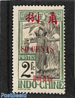 French Indochina 1919 Hoi-Hao, 80c On 2 Fr, Stamp Out Of Set, Unused (hinged), History - Native People - Autres & Non Classés