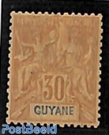 French Guyana 1892 30c, Stamp Out Of Set, Unused (hinged) - Sonstige & Ohne Zuordnung