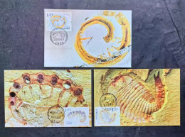 China 2024-4 World Natural Heritage Site - Chengjiang Fossil Land 3v MC - Fossilien