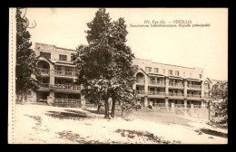 66 - ODEILLO - SANATORIUM HELIOTHERAPIQUE  - Autres & Non Classés