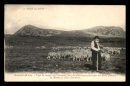 43 - HAUTS PLATEAUX DU MEZENC - BERGER ET SON TROUPEAU - VOIR ETAT - Autres & Non Classés