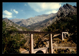 20 - LE PONT DE VECCHIO CONSTRUIT PAR EIFFEL - PASSAGE DE LA MICHELINE - Autres & Non Classés