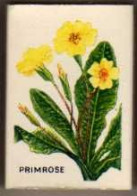 Boite D'Allumettes - ANGLETERRE / ENGLAND - FLEURS / FLOWERS - PRIMROSE / PRIMEVERE - Cajas De Cerillas (fósforos)