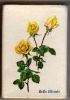 Boite D'Allumettes - ANGLETERRE/ ENGLAND - FLEURS / FLOWERS - ROSE BELLE BLONDE - Boites D'allumettes