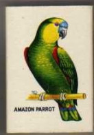 Boite D'Allumettes - ANGLETERRE/ ENGLAND - PERROQUET / PARROT - AMAZON PARROT - Cajas De Cerillas (fósforos)