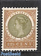 Suriname, Colony 1904 22.5c, Stamp Out Of Set, Unused (hinged) - Other & Unclassified