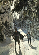 Postcard France Ski De Fond En Foret - Autres & Non Classés