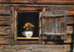 Carnations Vase Floral Arrangement In The Wooden Cottage Window Detail View - Flowers