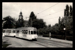 ALLEMAGNE - FRANKFURT - TRAMWAY - CARTE PHOTO ORIGINALE  - Frankfurt A. Main