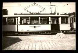 ALLEMAGNE - DRESDEN - TRAMWAY - CARTE PHOTO ORIGINALE - Dresden