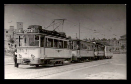 ALLEMAGNE - DRESDEN - TRAMWAY - CARTE PHOTO ORIGINALE - SOMMER 1953 - Dresden