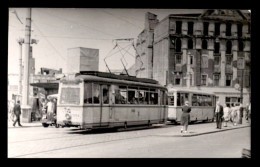 ALLEMAGNE - DRESDEN - TRAMWAY - CARTE PHOTO ORIGINALE - SOMMER 1953 - Dresden