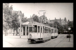 ALLEMAGNE - DRESDEN - TRAMWAY - CARTE PHOTO ORIGINALE - SOMMER 1953 - Dresden