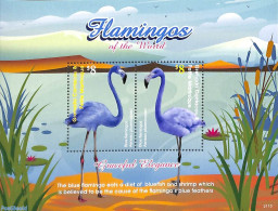 Grenada Grenadines 2021 Flamingos 2v M/s, Mint NH, Nature - Birds - Flamingo - Grenade (1974-...)
