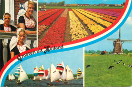 Greetings From Holand Netherlands Windmill Sailing Vessel Tulip Bed - Autres & Non Classés