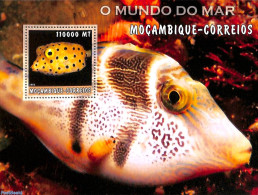 Mozambique 2002 Fish S/s, Mint NH, Nature - Fish - Poissons