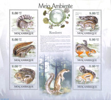 Mozambique 2010 Rodents 6v M/s, Mint NH, Nature - Animals (others & Mixed) - Mozambique
