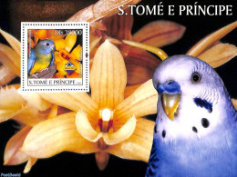 Sao Tome/Principe 2003 Birds S/s, Mint NH, Nature - Birds - Sao Tome Et Principe