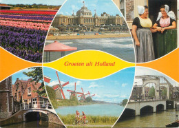 Greetings From Holand Netherlands Windmills Beach Flower Bed Dam - Autres & Non Classés