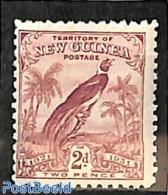 British New Guinea 1931 2p, Stamp Out Of Set, Unused (hinged), Nature - Birds - Autres & Non Classés