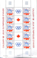 Saint Pierre And Miquelon 1988 Olympic Winter Games M/s, Mint NH, Sport - Ice Hockey - Olympic Winter Games - Hockey (sur Glace)