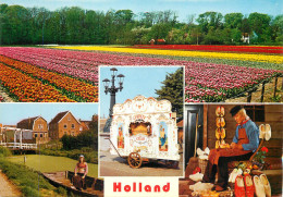 Greetings From Holand Netherlands Wooden Shies Tulip Field Street Organ - Autres & Non Classés