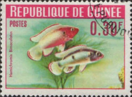 Guinée (Rep) Poste Obl Yv: 177/186 Poissons (Beau Cachet Rond) - Guinee (1958-...)