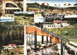 71604201 Bodenmais Cafe Pension Berghof Terrasse Minigolf Bodenmais - Bodenmais