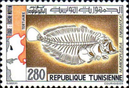 Tunisie (Rep) Poste N** Yv: 968 Mi:1031 Numidiopleura Enigmatica Fossile - Tunesien (1956-...)