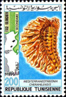 Tunisie (Rep) Poste N** Yv: 967 Mi:1030 Mediterraneotrigonia Cherahilensis Fossile - Tunesien (1956-...)