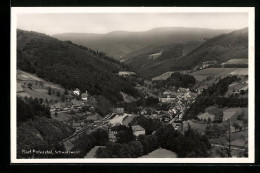 AK Bad Peterstal /Schwarzwald, Teilansicht  - Other & Unclassified