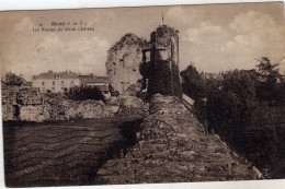 Hede Les Ruines Du Chateau - Sonstige & Ohne Zuordnung